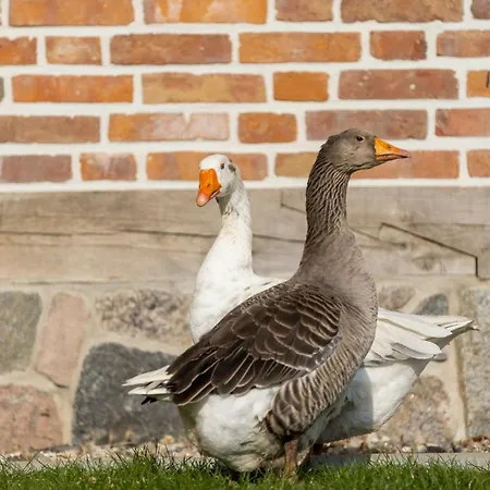 Relax In A Thatched Barn With A Sauna