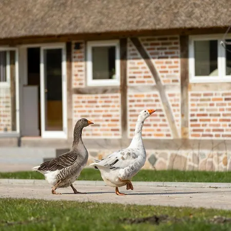 펜션 Relax In A Thatched Barn With A Sauna *