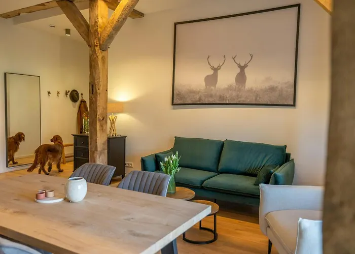 Relax In A Thatched Barn With A Sauna Ferienhaus Ratekau
